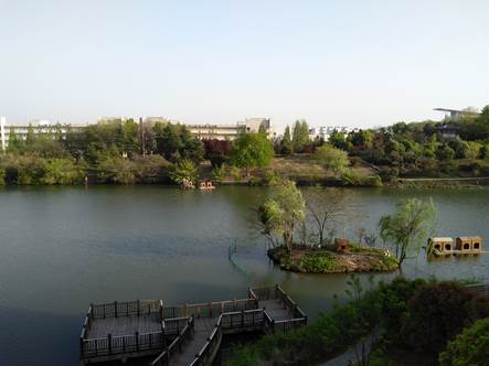 仙林湖景